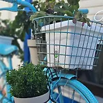 Charming House Loft Burgau