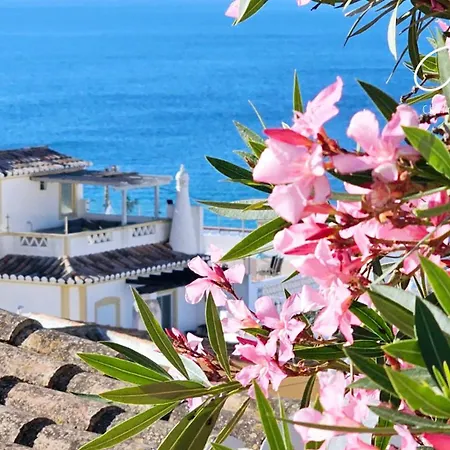 Charming House Loft Burgau