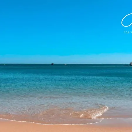 Charming House Loft Burgau