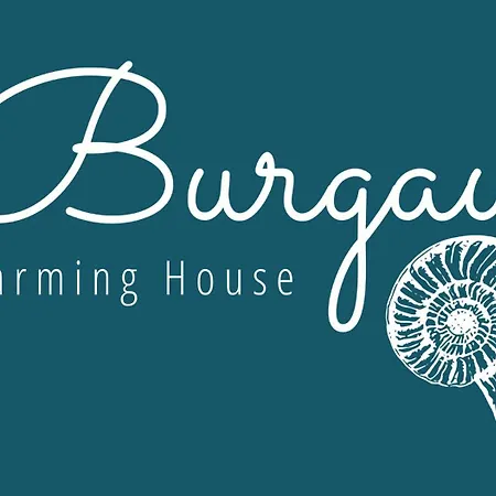 Charming House Loft Apartment Burgau