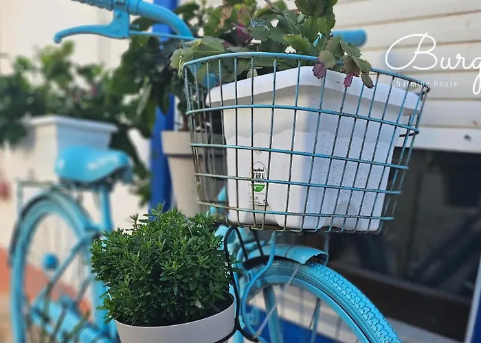 Charming House Loft Burgau