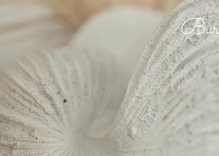 דירה Charming House Loft בורגאו