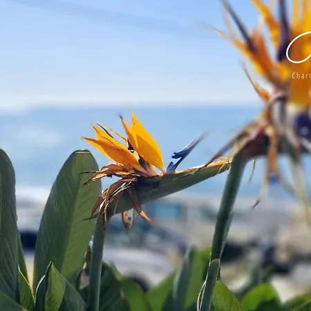 Charming House Loft Apartamento Burgau