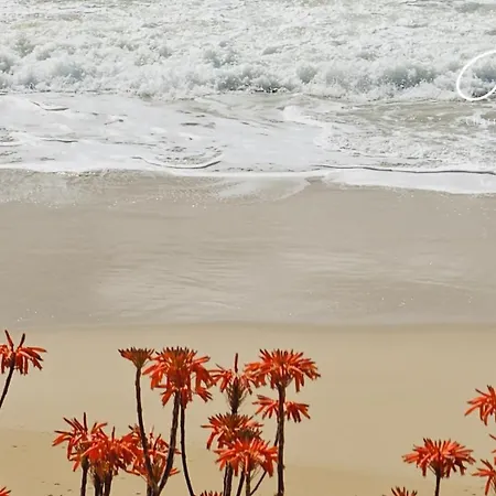 Charming House Loft * Burgau